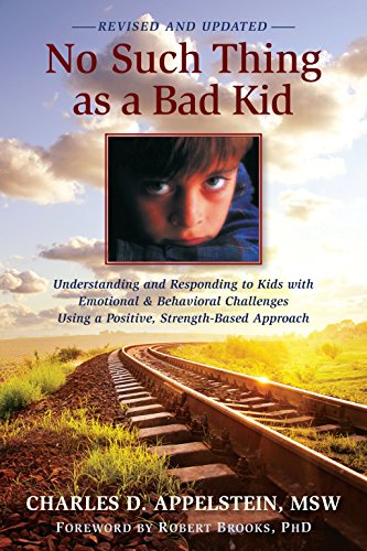 Stock image for No Such Thing as a Bad Kid: for sale by More Than Words