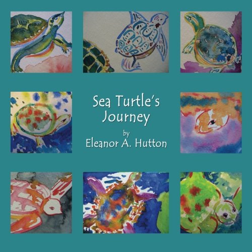 9780984589838: Sea Turtle's Journey