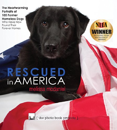 Beispielbild fr Rescued in America : The Heartwarming Portraits of 105 Former Homeless Dogs Who Have Now Found Their Forever Homes zum Verkauf von Better World Books