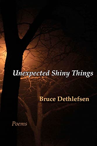 Unexpected Shiny Things: Poems