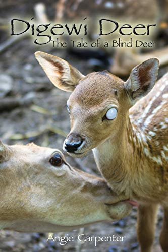 9780984672431: Digewi Deer the Tale of a Blind Deer