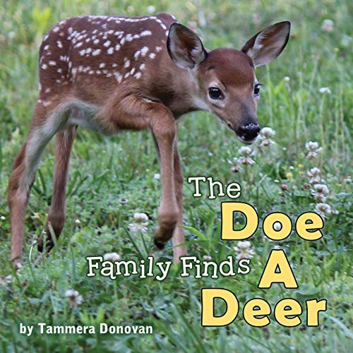 Imagen de archivo de The Doe Family Finds a Deer a la venta por Lucky's Textbooks