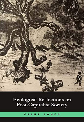 9780984673957: Ecological Reflections on Post-Capitalist Society