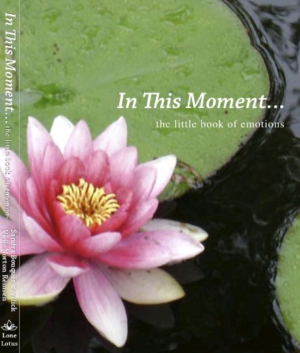 Imagen de archivo de In This Moment.the little book of emotions a la venta por Better World Books: West