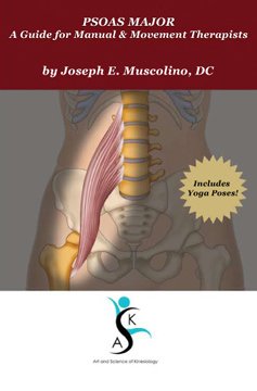 Imagen de archivo de PSOAS Major: A Guide for Manual & Movement Therapists (DVD) a la venta por THE OLD LIBRARY SHOP