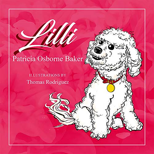 Stock image for Lilli for sale by SecondSale