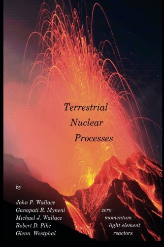 9780984824823: Terrestrial Nuclear Processes: zero momentum light element reactors