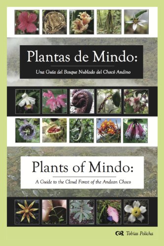 9780984900305: Plantas de Mindo: Una Gu?a de Bosque Nublado del Choc? Andino : Plants of Mindo: A Guide to the Cloud Forest of the Andean Choco