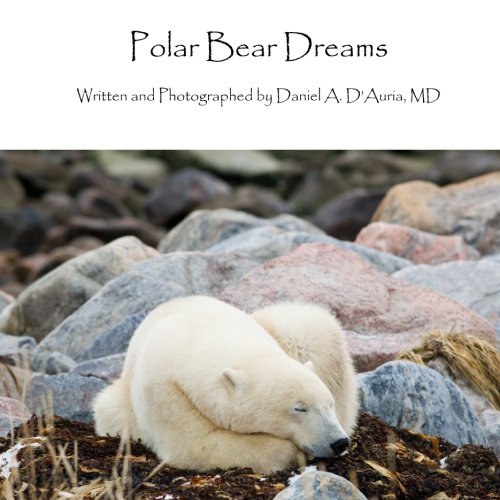 Stock image for Polar Bear Dreams for sale by Revaluation Books