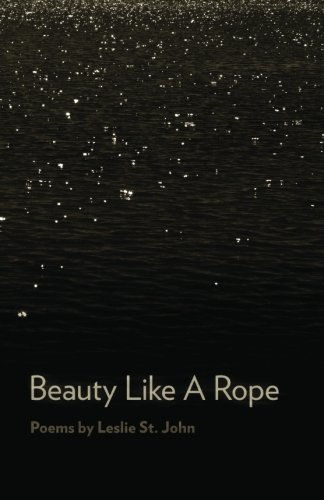 Beispielbild fr Beauty Like A Rope zum Verkauf von Revaluation Books