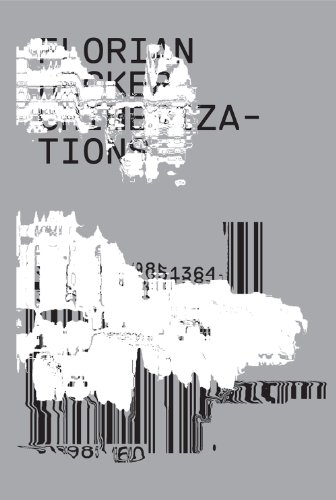 Stock image for Florian Hecker: Chimerizations for sale by Strand Book Store, ABAA