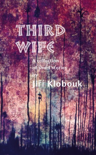 Imagen de archivo de Third Wife a la venta por Montclair Book Center