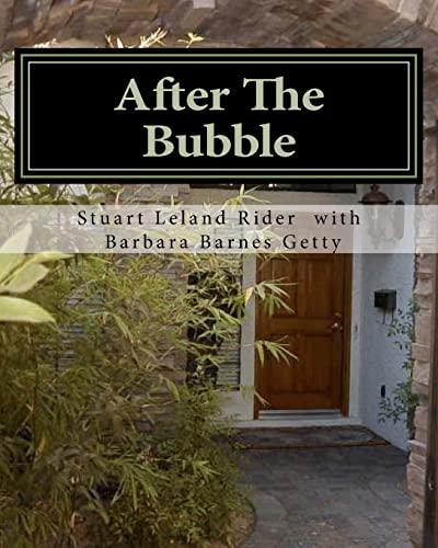 Stock image for After the Bubble for sale by Bestsellersuk