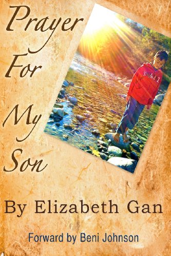 Stock image for Prayer For My Son: Volume 1 for sale by WorldofBooks