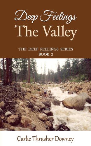Imagen de archivo de Deep Feelings: The Valley: Book 2 a la venta por THE SAINT BOOKSTORE