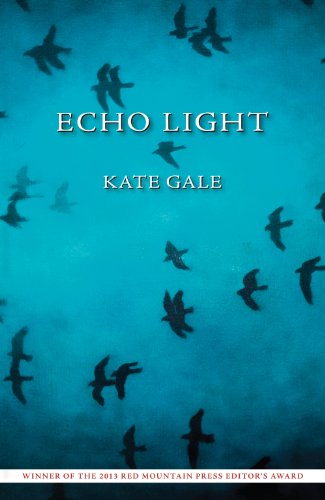 Stock image for Echo Light for sale by The Enigmatic Reader