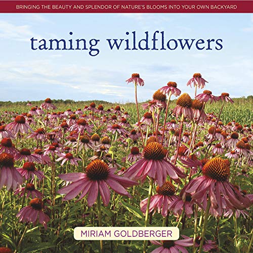 Stock image for Taming Wildflowers: Bringing the Beauty and Splendor of Natures Blooms into Your Own Backyard for sale by gwdetroit