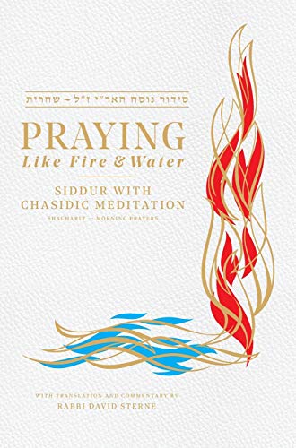 Stock image for Praying like Fire and Water: Siddur with Chassidic Meditation for sale by Utah Book and Magazine