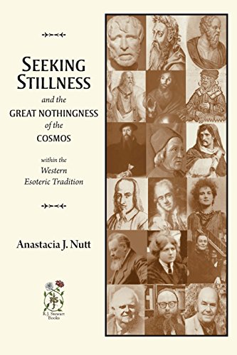 Stock image for Seeking Stillness and the Great Nothingness of the Cosmos for sale by AwesomeBooks