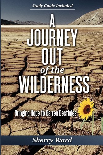 Beispielbild fr A Journey Out of the Wilderness: Bringing Hope to Barren Destinies (Wilderness to Promised Land) zum Verkauf von SecondSale