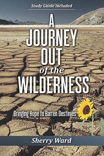 Stock image for A Journey Out of the Wilderness: Bringing Hope to Barren Destinies (Wilderness to Promised Land) for sale by SecondSale