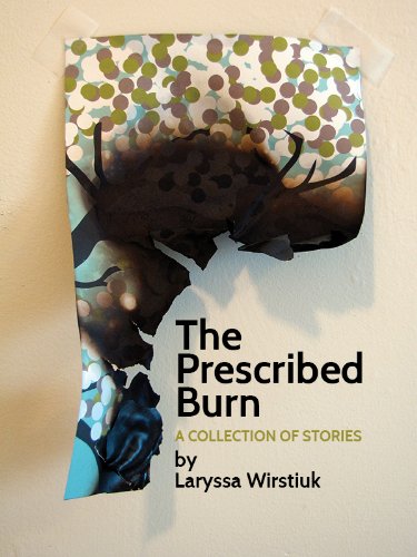 The Prescribed Burn: A Collection of Stories