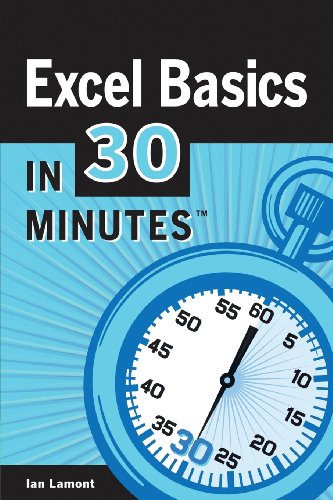 9780985886790: Excel Basics In 30 Minutes