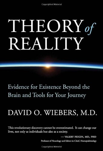 9780985937522: Theory of Reality: Evidence for Existence Beyond the Brain and Tools for Your Journey