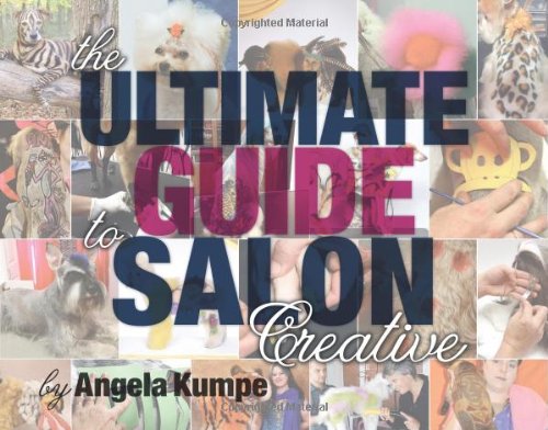 Beispielbild fr The Ultimate Guide to Salon Creative zum Verkauf von SecondSale