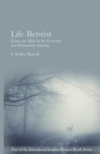 Stock image for Life Betwixt: Essays on Allies in the Everyday and Shamanism Among (Intentional Insights Blog-to-Book Series) for sale by Save With Sam