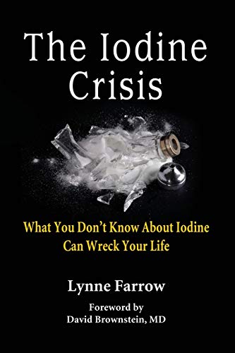 9780986032004: The Iodine Crisis: What You Don't know About Iodine Can Wreck Your Life