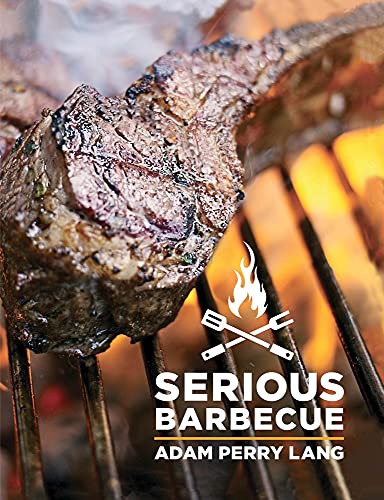 Stock image for Serious Barbecue: Smoke, Char, Baste & Brush Your Way to Great Outdoor Cooking. for sale by HPB-Movies