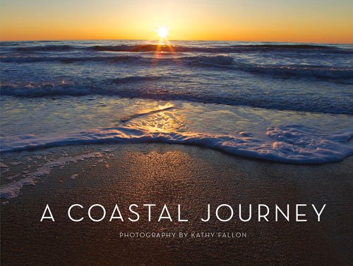 Stock image for A Coastal Journey for sale by Gulf Coast Books