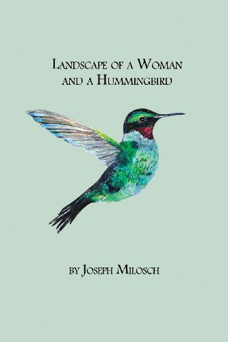 Stock image for Landscape of a Woman and a Hummingbird for sale by Irish Booksellers