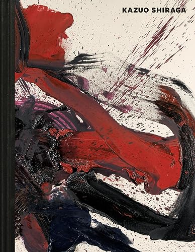 Imagen de archivo de Kazuo Shiraga a la venta por Antiquariaat Looijestijn