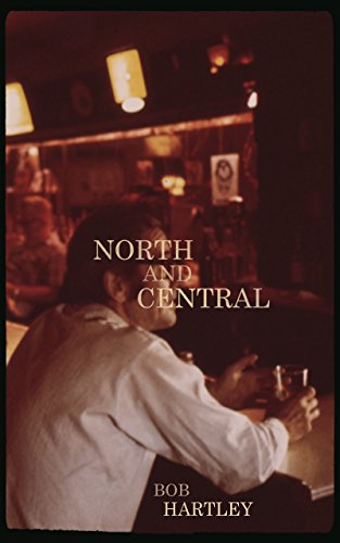 Stock image for North and Central (New Chicago Classics, 2) for sale by HPB-Red