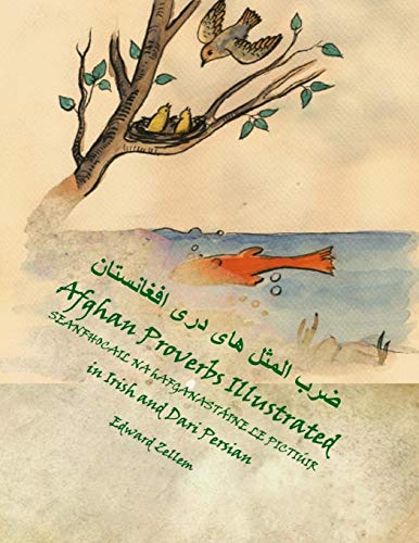 9780986238680: Seanfhocail na hAfganastine le Pictiir (Irish-Dari Edition): Afghan Proverbs In Irish, English and Dari Persian
