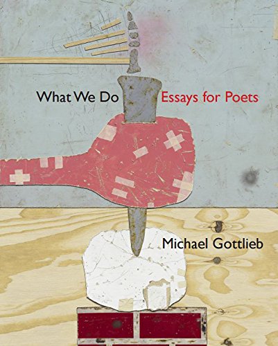 Imagen de archivo de What We Do: Essays for Poets a la venta por Better World Books