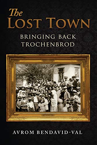 Stock image for The Lost Town: Bringing Back Trochenbrod for sale by ThriftBooks-Dallas