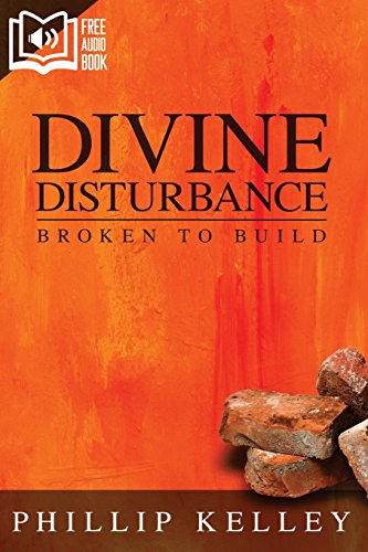Imagen de archivo de Divine Disturbance : Broken to Build a la venta por Better World Books