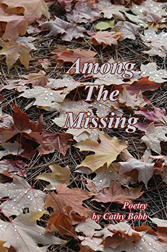 Stock image for Among the Missing for sale by SecondSale