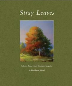 Beispielbild fr Stray Leaves - Selected Essays from Sanctuary Magazine zum Verkauf von More Than Words