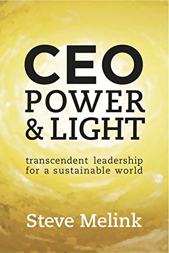 Beispielbild fr CEO Power & Light zum Verkauf von ThriftBooks-Dallas