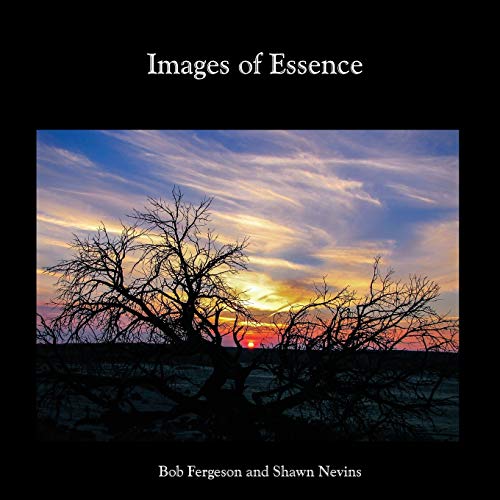 Stock image for Images of Essence for sale by -OnTimeBooks-