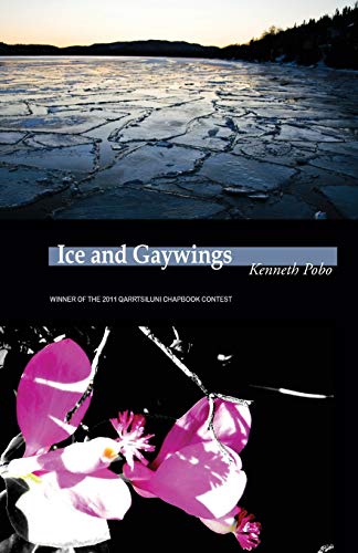 Ice and Gaywings (9780986690945) by Pobo, Kenneth