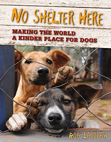 Beispielbild fr No Shelter Here: Making the World a Kinder Place for Dogs zum Verkauf von BooksRun
