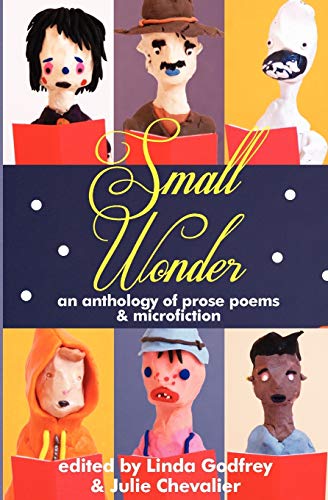 Stock image for Small Wonder for sale by Ria Christie Collections