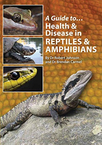 Imagen de archivo de A Guide to Health and Disease in Reptiles and Amphibians a la venta por PBShop.store UK