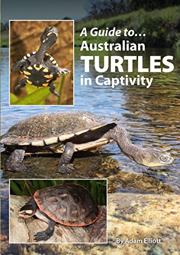 9780987244741: Australian Turtles In Captivity (A Guide to)