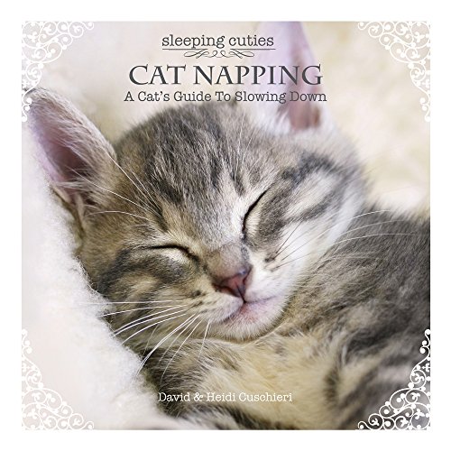 Imagen de archivo de Cat Napping: A Cat's Guide to Slowing Down (Sleeping Cuties) a la venta por Your Online Bookstore